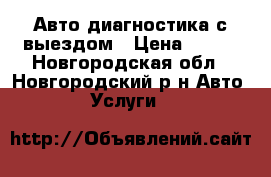 Авто-диагностика с выездом › Цена ­ 300 - Новгородская обл., Новгородский р-н Авто » Услуги   